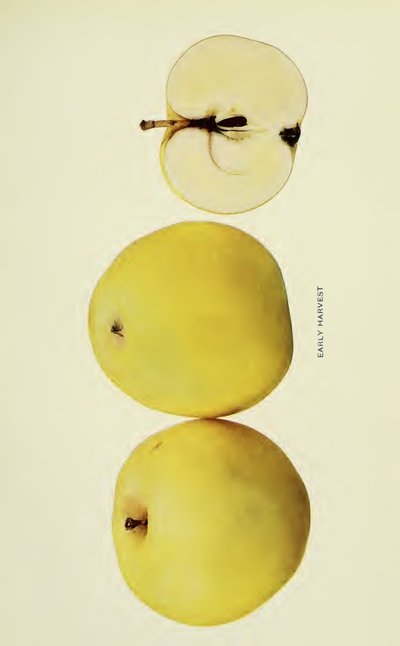 Early Harvest