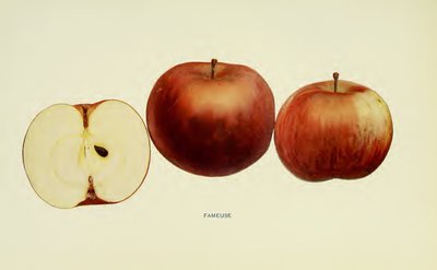 Fameuse