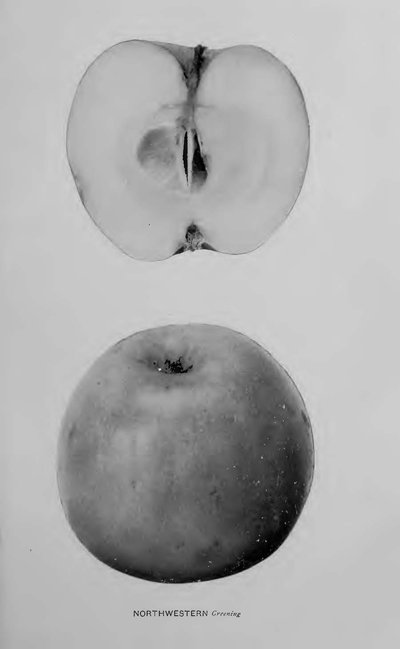 Northwestern Greening