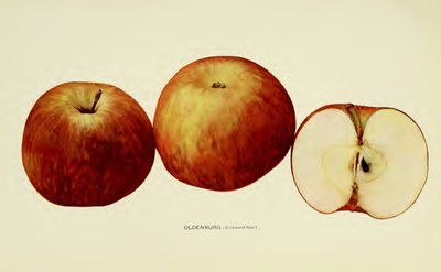 Oldenburg