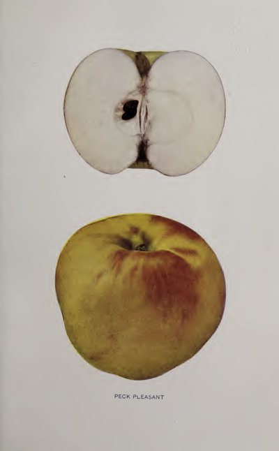 Peck Pleasant