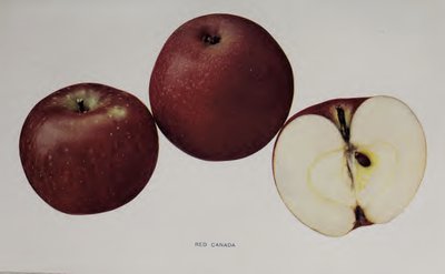 Red Canada