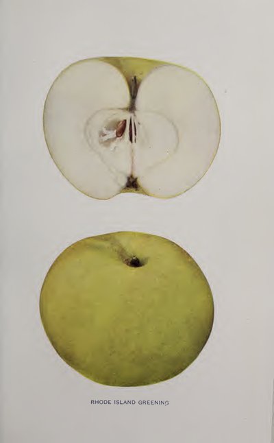 Rhode Island Greening