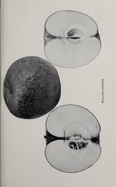 Wallace Howard