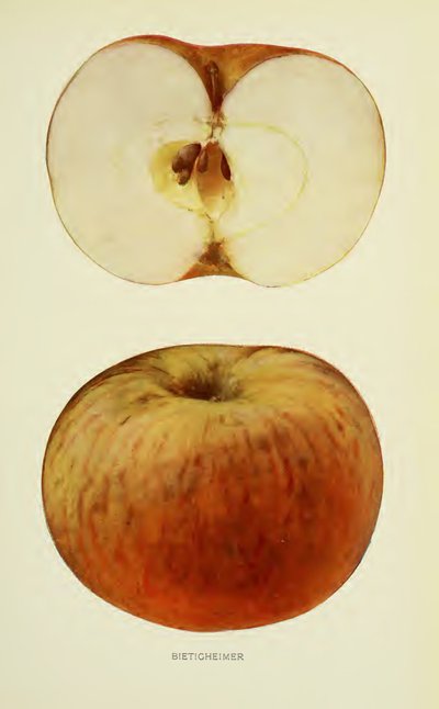 Bietigheimer