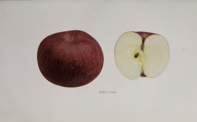 Jewett Red