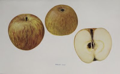 Ralls