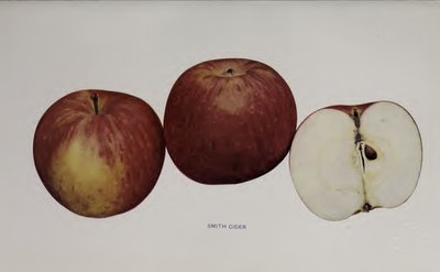 Smith Cider